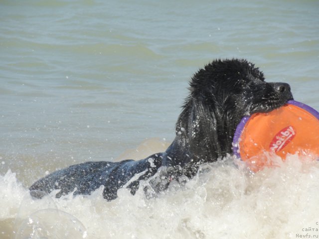 Фотография № 109014