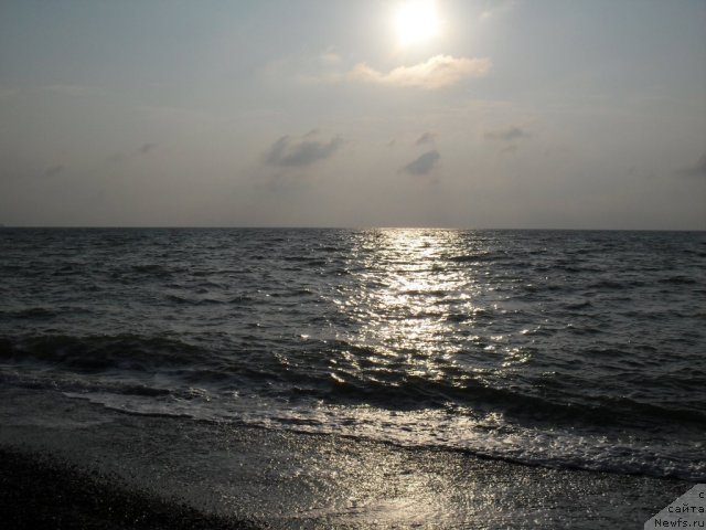 Фотография № 109017