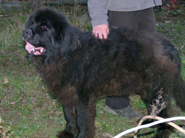 Фотография № 109049