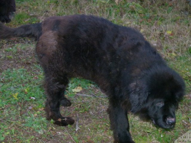 Фотография № 109050