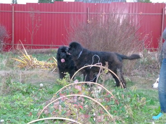 Фотография № 109051