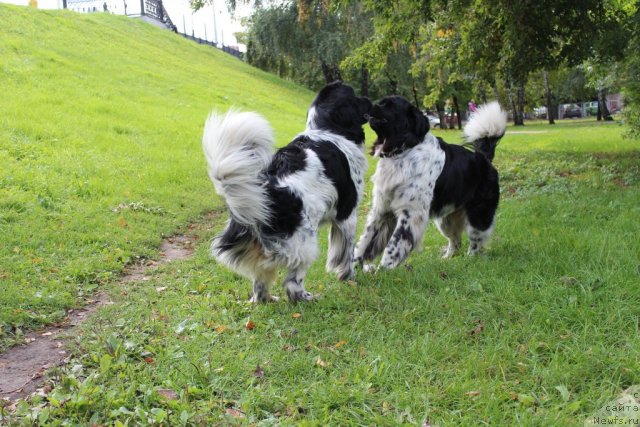 Фотография № 109090