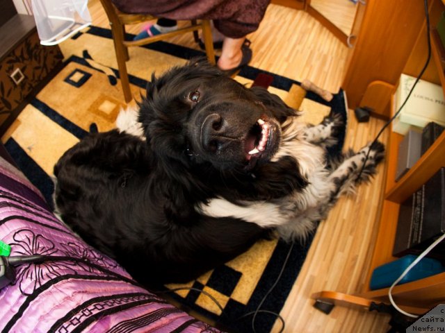 Фотография № 109098