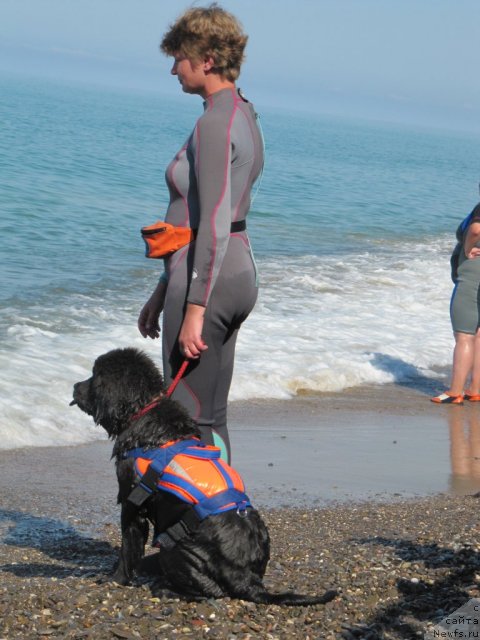 Фотография № 109137