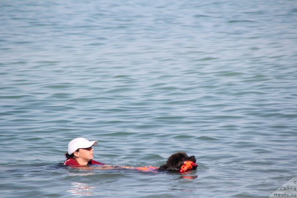 Фотография № 109140