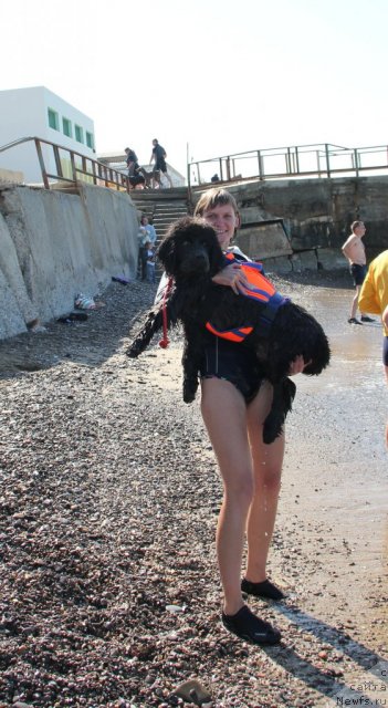 Фотография № 109144