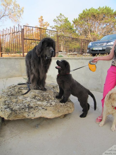 Фотография № 109146