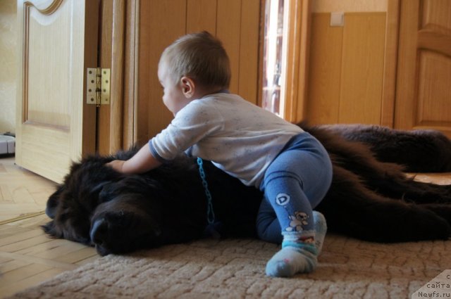 Фотография № 109285