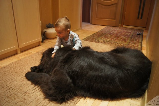 Фотография № 109287