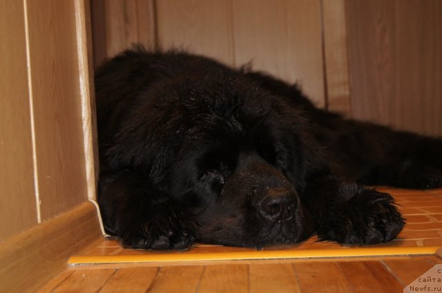 Фотография № 109288