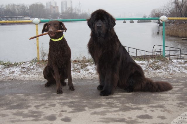 Фотография № 109290