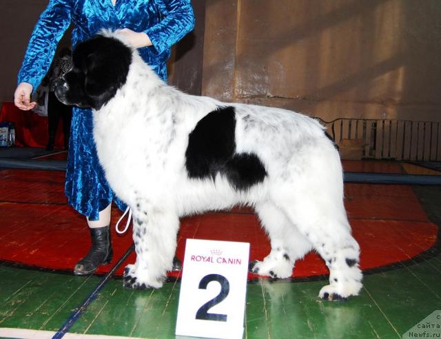 Фотография № 10933