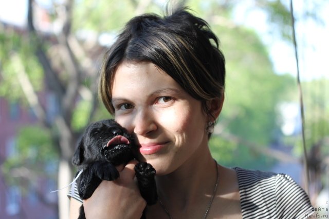 Фотография № 109360