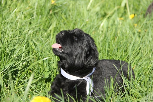 Фотография № 109363