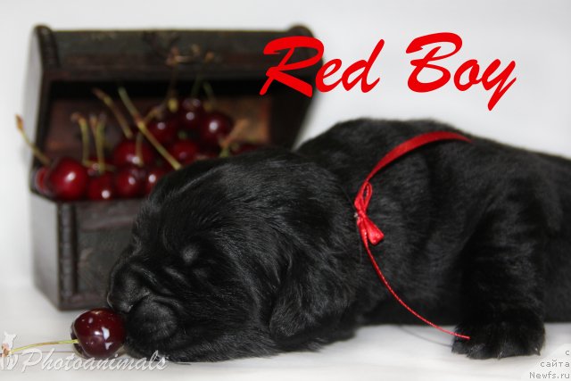 Фотография № 109378