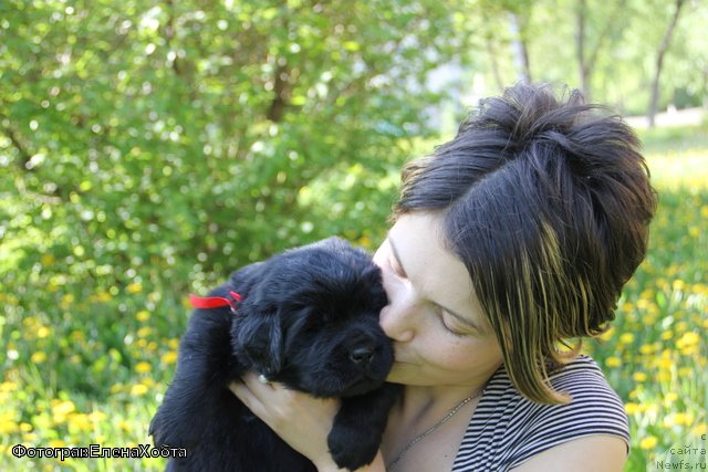 Фотография № 109382