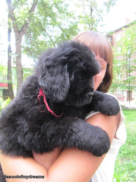 Фотография № 109384