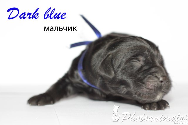 Фотография № 109386