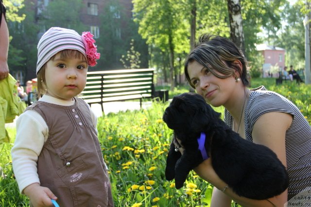 Фотография № 109389