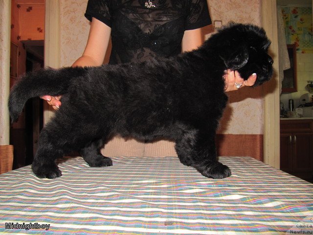 Фотография № 109391