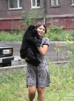 Фотография № 109393