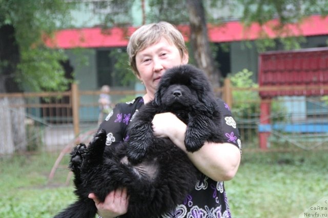 Фотография № 109396