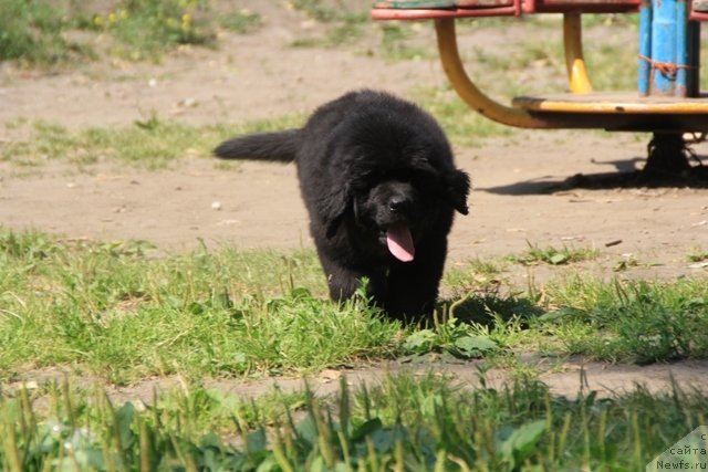 Фотография № 109397