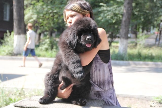 Фотография № 109399