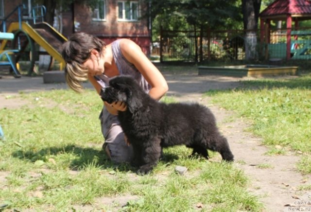 Фотография № 109402