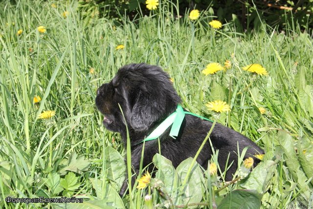 Фотография № 109408