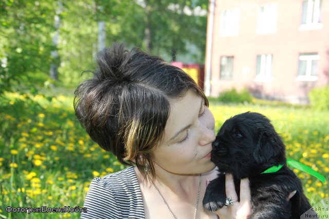 Фотография № 109409