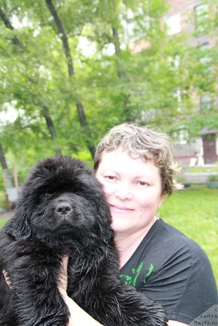 Фотография № 109413