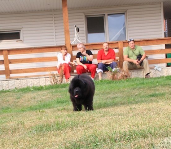 Фотография № 109419