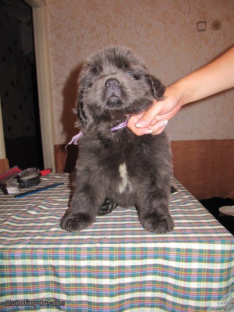 Фотография № 109428