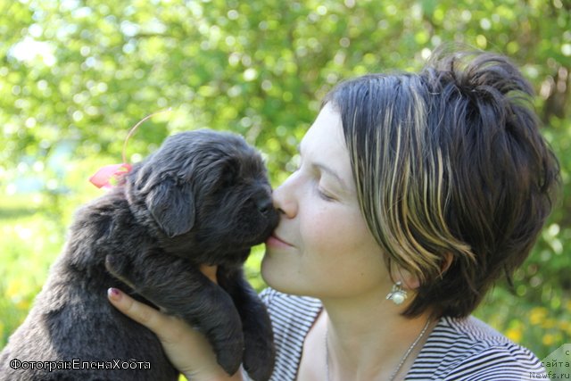 Фотография № 109435