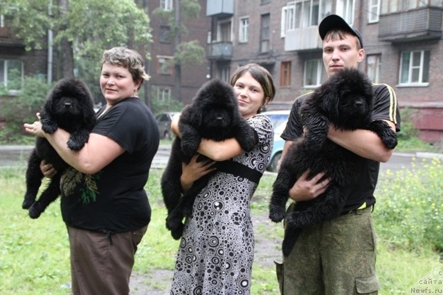 Фотография № 109442