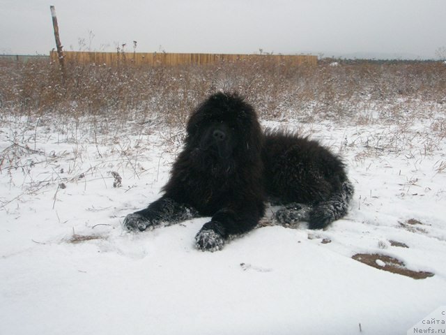 Фотография № 109443