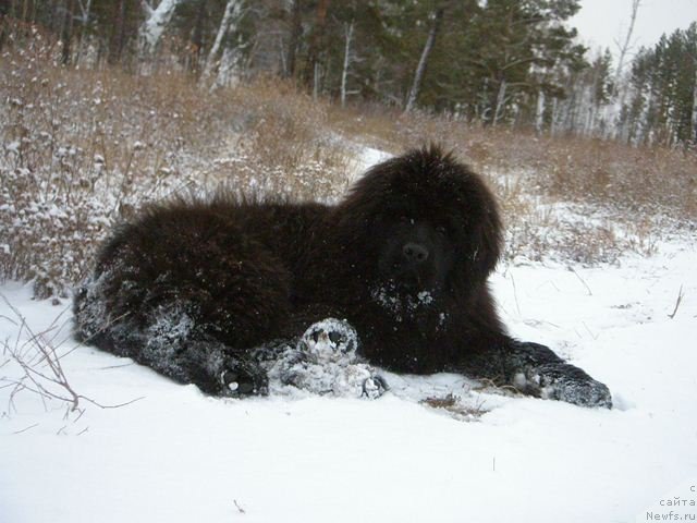 Фотография № 109446