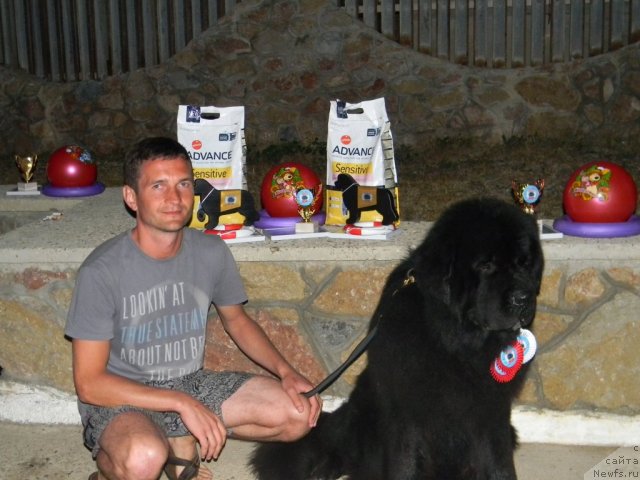 Фото: Александр Хижняк