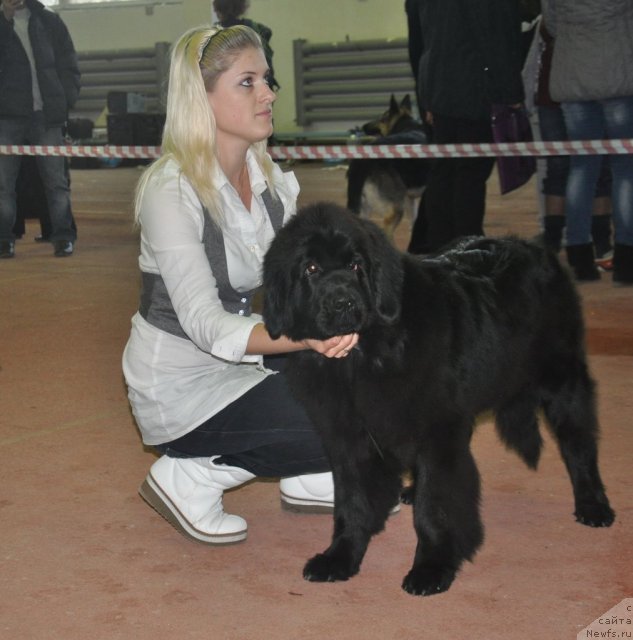 Фотография № 109461