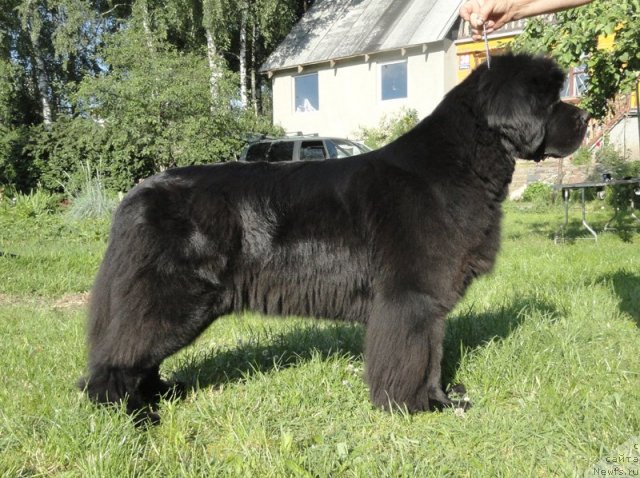 Фотография № 109467