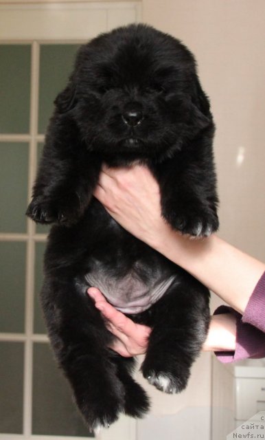 Фотография № 109471