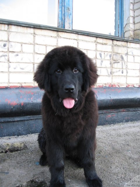 Фото: малюта скуратовнв