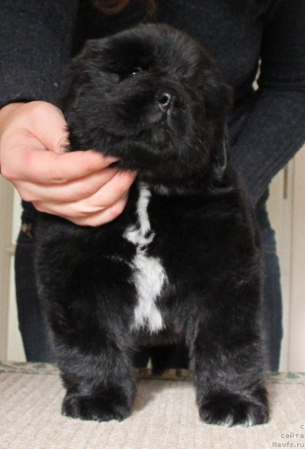 Фотография № 109480