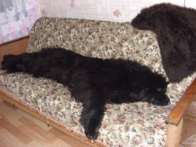 Фотография № 109487