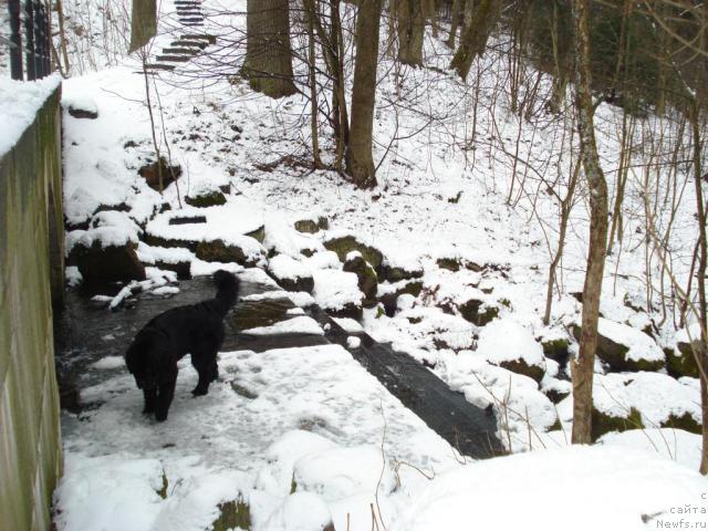 Фотография № 10949