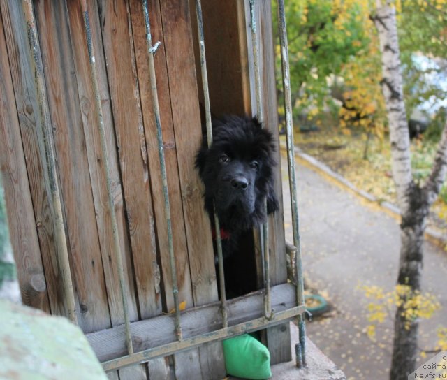 Фотография № 109494