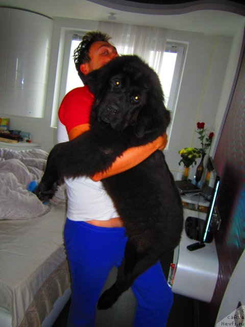 Фото: Ирина Дюженко