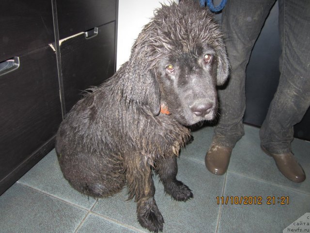 Фотография № 109574