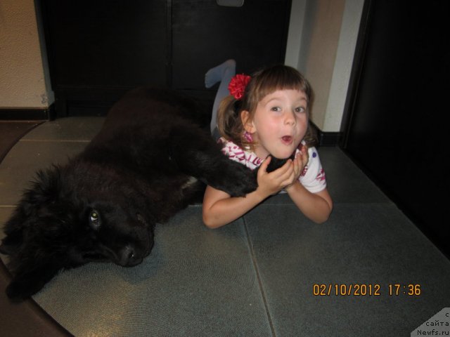 Фотография № 109576